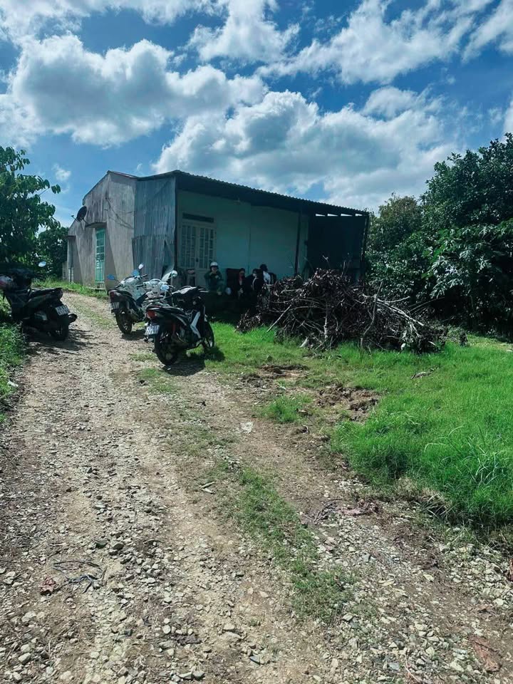 Đất vườn cà phê 6300m² tại Tân Lạc, Bảo Lâm - Giá chỉ 2.4 tỷ