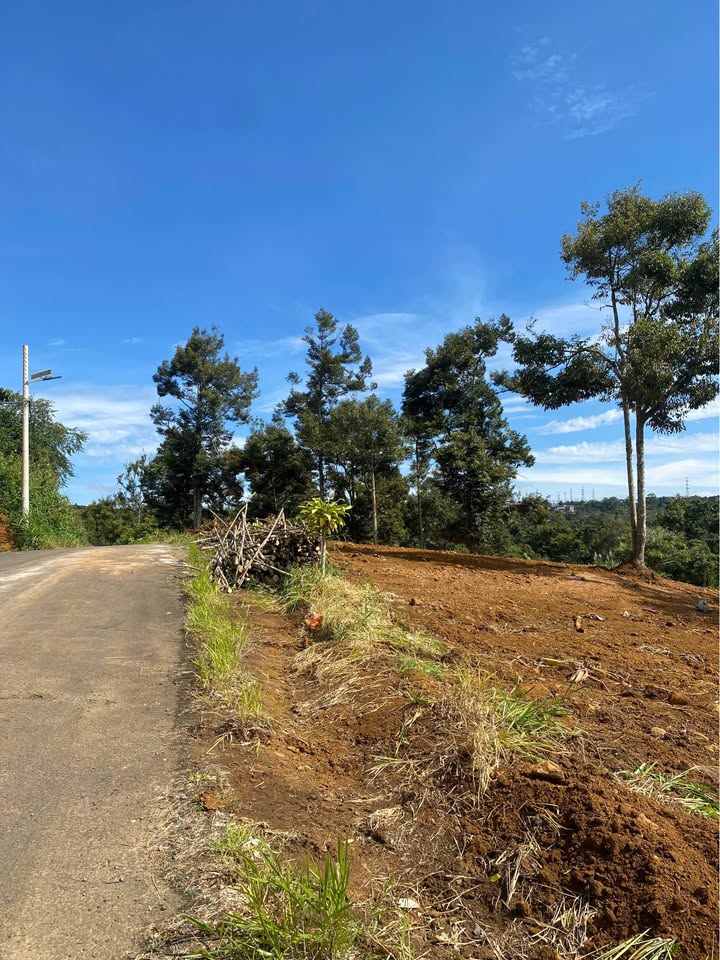 Đất mặt tiền đường Chi Lăng, Bảo Lâm 120m² giá 890 triệu - Tiềm năng tăng giá mạnh!