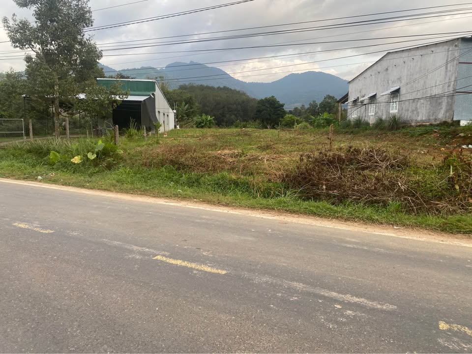 Đất thổ cư Đạ Huoai 585m² giá 975 triệu - Cơ hội đầu tư tuyệt vời!