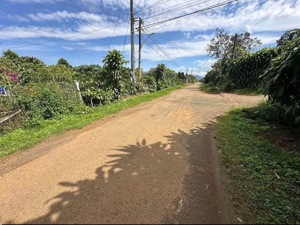 Đất nền Hòa Ninh Di Linh 3700m² chỉ 5.5 tỷ - Phân lô ngay!