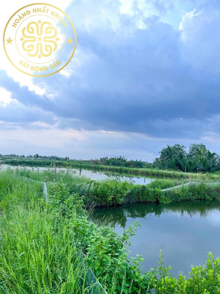 Đất mặt tiền 17m x 400m tại An Xuyên, Cà Mau - Đầu tư sinh lời bền vững!