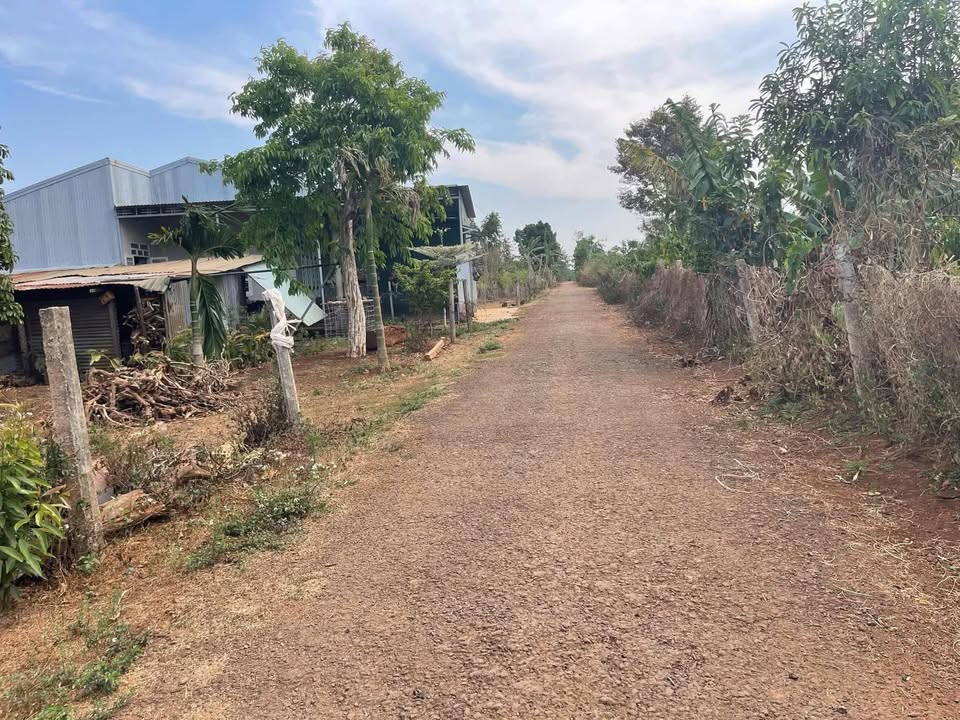 Đất nền mặt tiền xã Ia Sao, huyện Ayun Pa 750m² giá 500 triệu - Cơ hội đầu tư sinh lời!