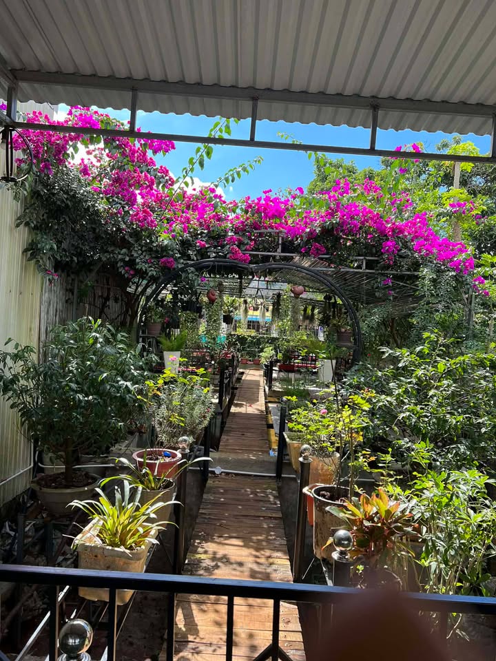 Nhà riêng Hẻm Trần Huy Liệu, Biển Hồ, 300m² giá 300 triệu - Bán gấp, mở quán ngay!