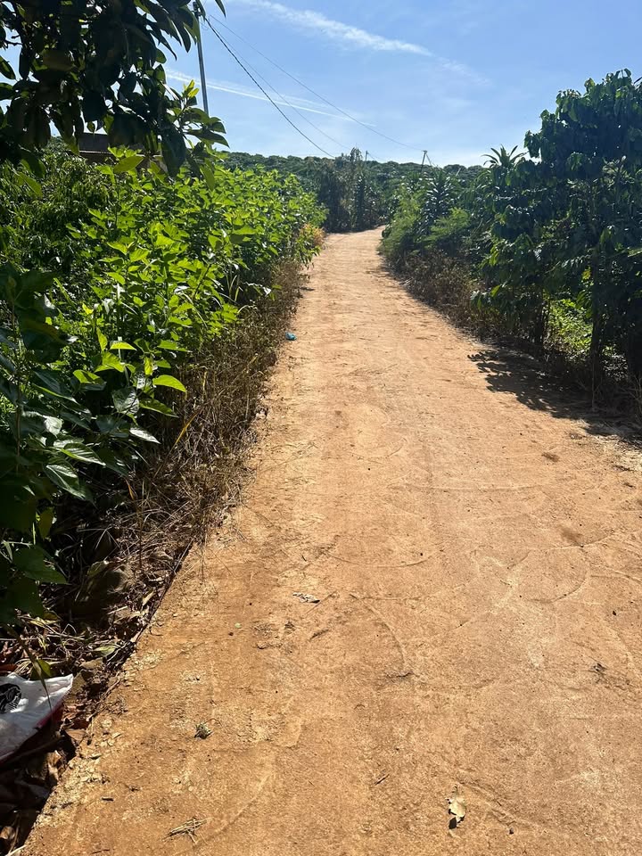 Đất nền Đan Phượng 40000m² giá 2 tỷ - Sổ hồng vuông vức, ôm 2 mặt đường