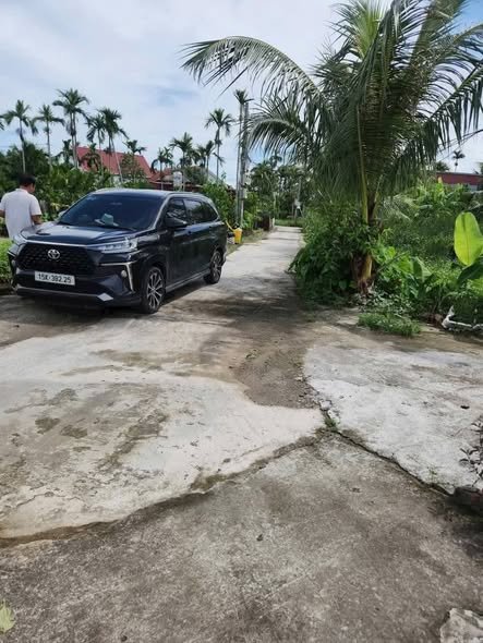 Siêu phẩm nhà vườn Tân Phong 1747m² giá chỉ 2 tỷ - Đường ô tô đỗ cửa!