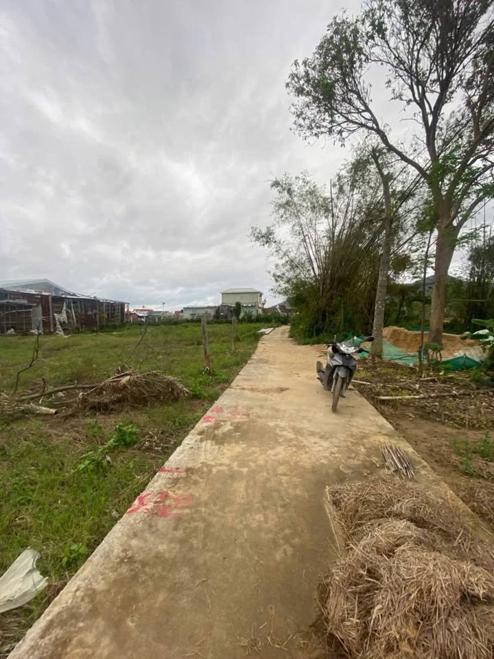 Đất nền Phước Hiệp Tuy Phước 80m² giá chỉ 2xx triệu - Cơ hội đầu tư hấp dẫn!