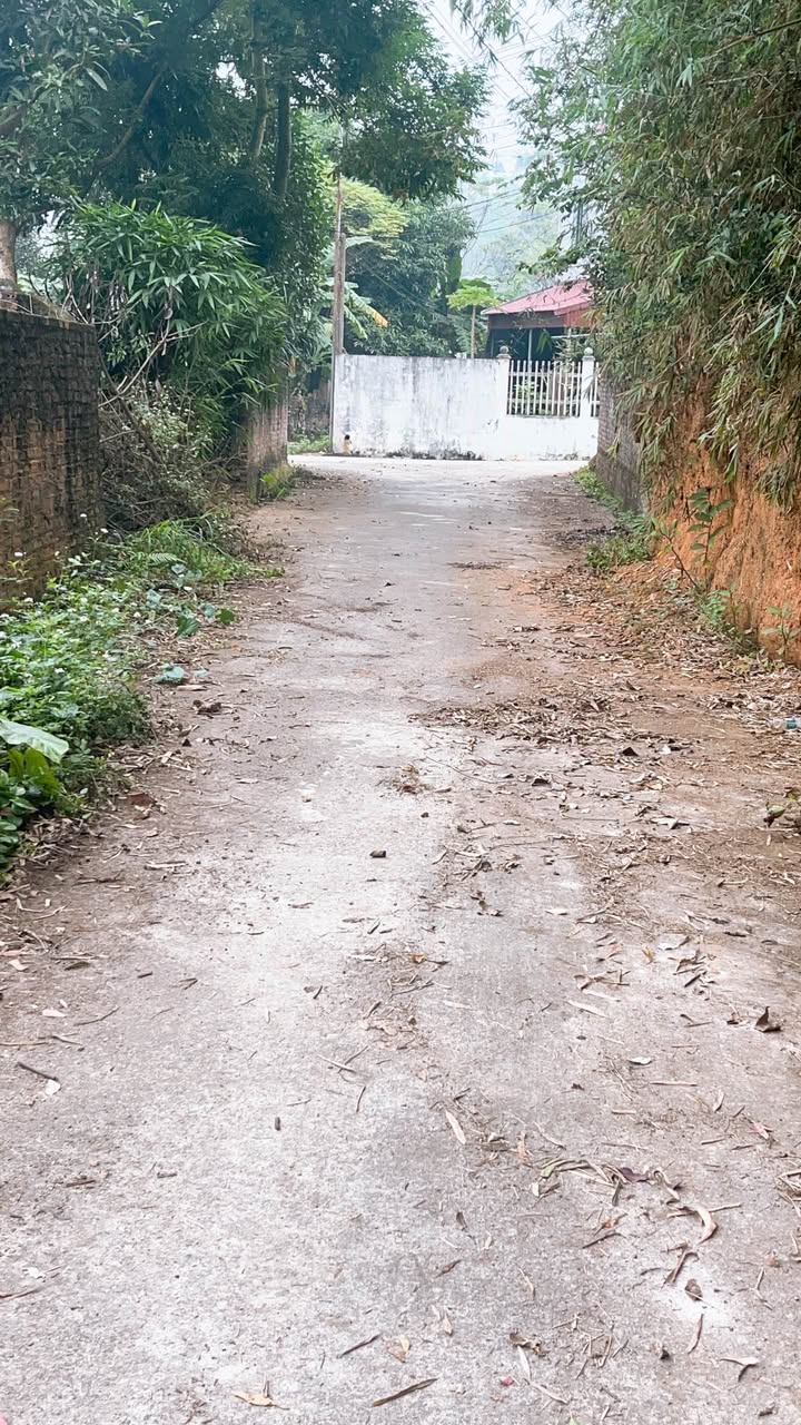 Đất nền Kim Đức TP Việt Trì 102m² giá 1.2 tỷ - Vị trí đẹp, phong thủy tốt!