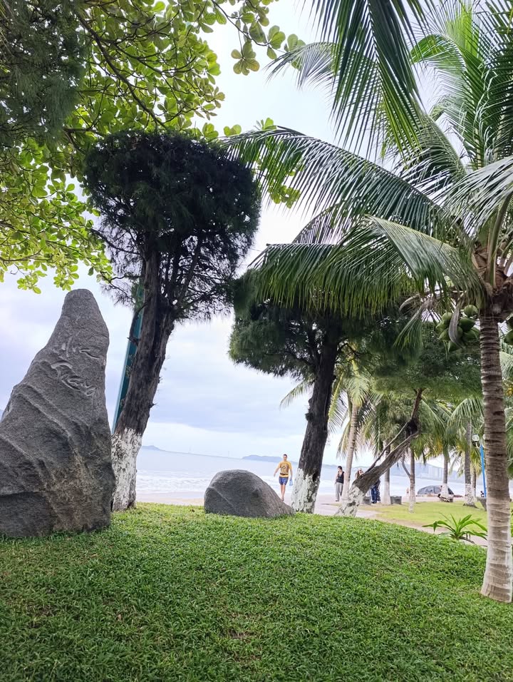 Đất nền Ninh Hiệp 85.5m² giá 639 triệu - Vị trí trung tâm thuận lợi!