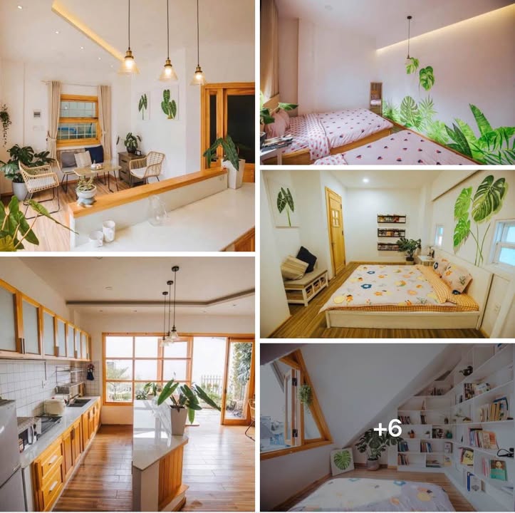 Cho thuê homestay Phường 2 Đà Lạt 8 phòng ngủ - Nhà đẹp, vào ở ngay!