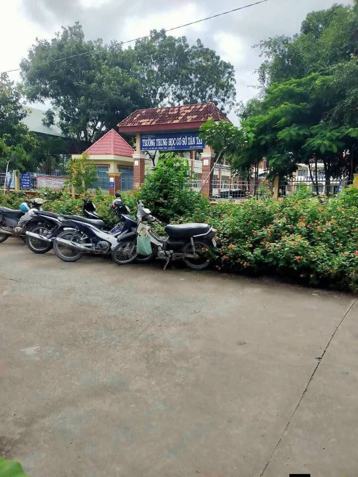 Đất nền Tân Tây, Thạnh Hóa 100m² giá 1.3 tỷ - Cơ hội đầu tư hấp dẫn!