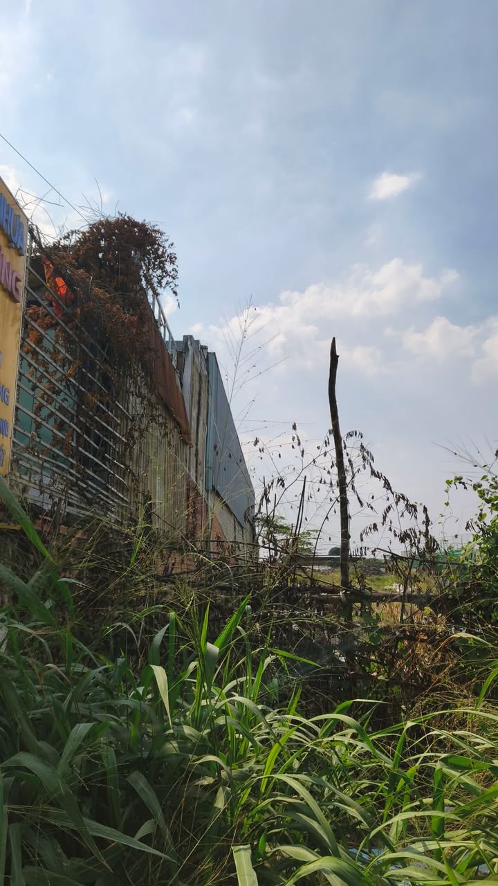 Đất thổ cư đường Nguyễn Thị Ngâu, Hóc Môn 72m² giá 2.4 tỷ - Tiện xây mới ngay!