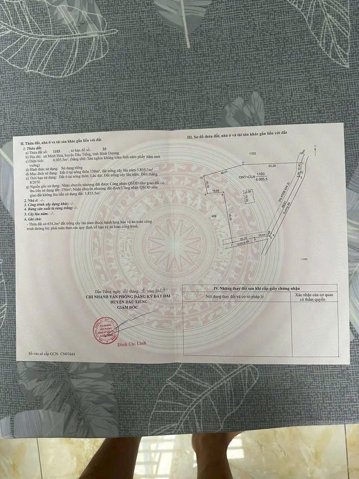 Đất nền Minh Thạnh, Dầu Tiếng 6000m² giá chỉ 2 tỷ - Cơ hội đầu tư tuyệt vời!