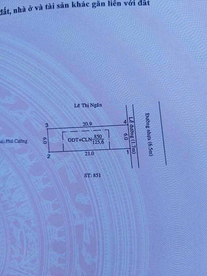 Đất nền Phú Hòa Thủ Dầu Một 126m² giá 4.5 tỷ - Sổ hồng chính chủ!