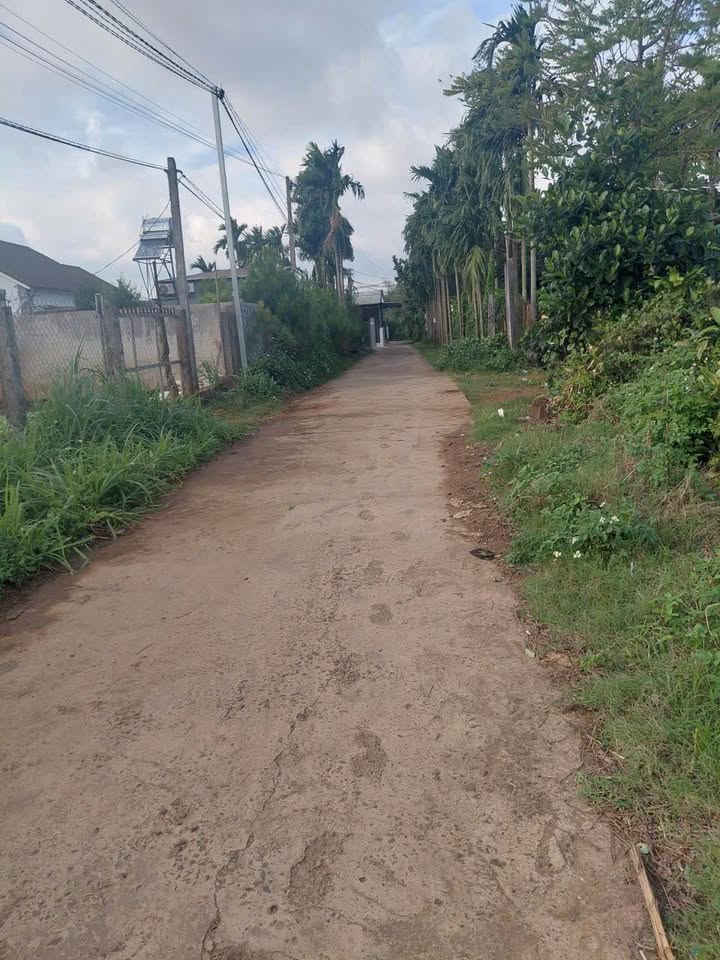 Đất nền Hòa Khánh, Buôn Ma Thuột 216m² giá 960 triệu - Đầu tư sinh lời ngay!