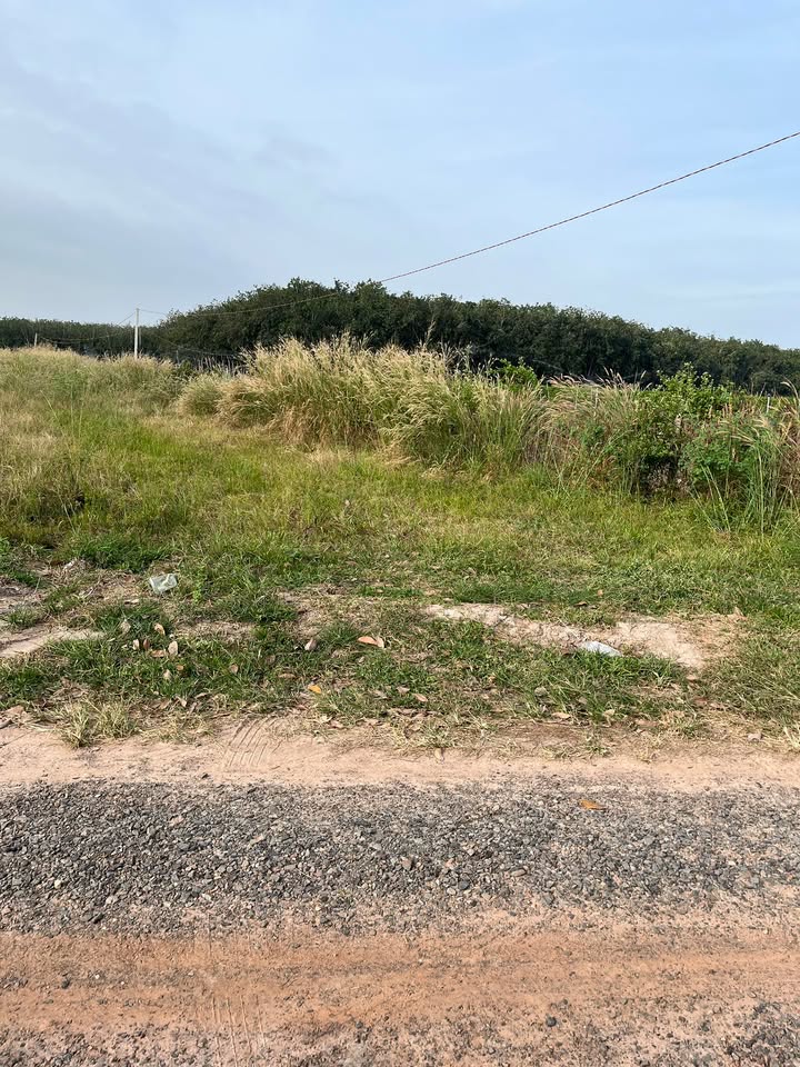 Đất Ninh Thạnh 4,6 công giá 2.1 tỷ - View Núi Bà tuyệt đẹp!