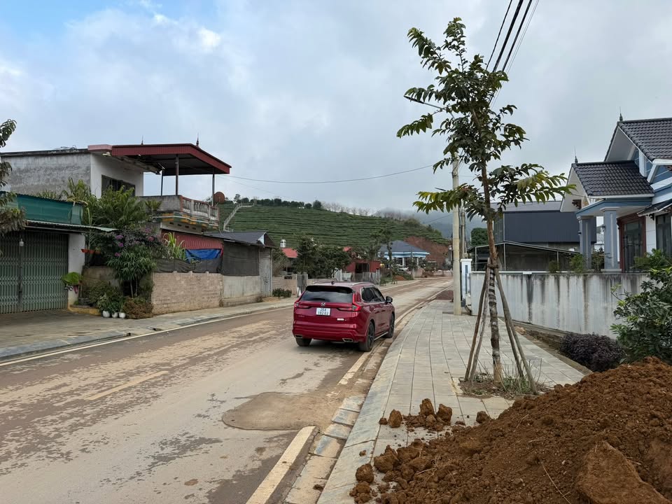 Đất thổ cư Mộc Châu 239m² giá chỉ 500 triệu - Sổ hồng chính chủ!