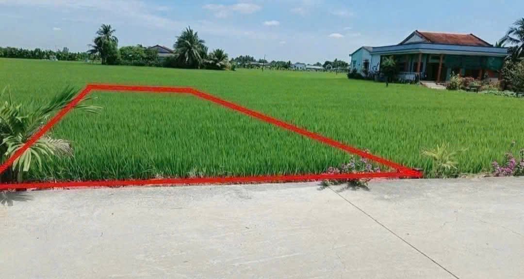 Đất thổ cư mặt tiền đường Cao Thị Mai 135m² giá 569 triệu - Cơ hội đầu tư tuyệt vời!