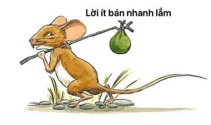 Đất nền mặt tiền DT 786, Thanh Điền, Châu Thành, Tây Ninh - Giá chỉ 3.23 tỷ, thổ cư 100m²!