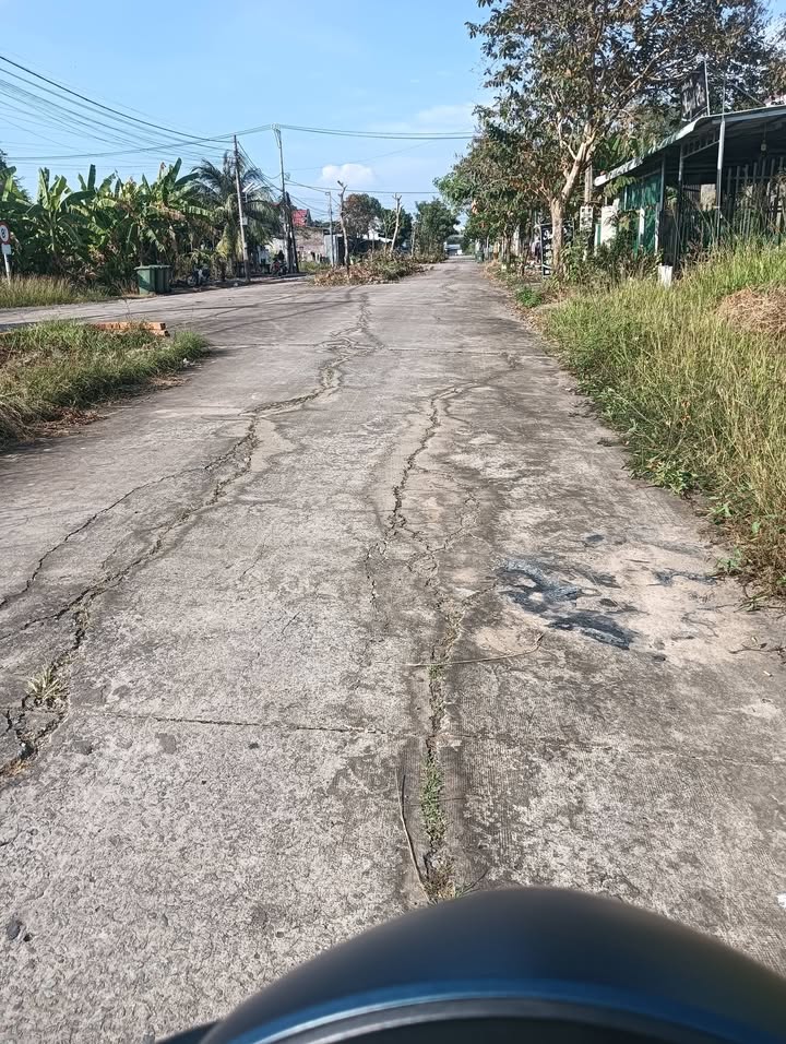 Đất nền Tân Tây Thạnh Hóa 100m² giá 850 triệu - Vị trí đắc địa gần chợ và trường học!