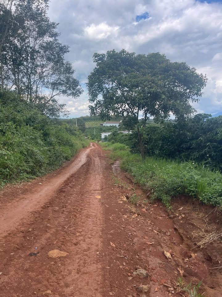 Đất nền Đinh Trang Thượng, Di Linh 3492m² giá 4.6 tỷ - Đầu tư sinh lời mạnh mẽ!