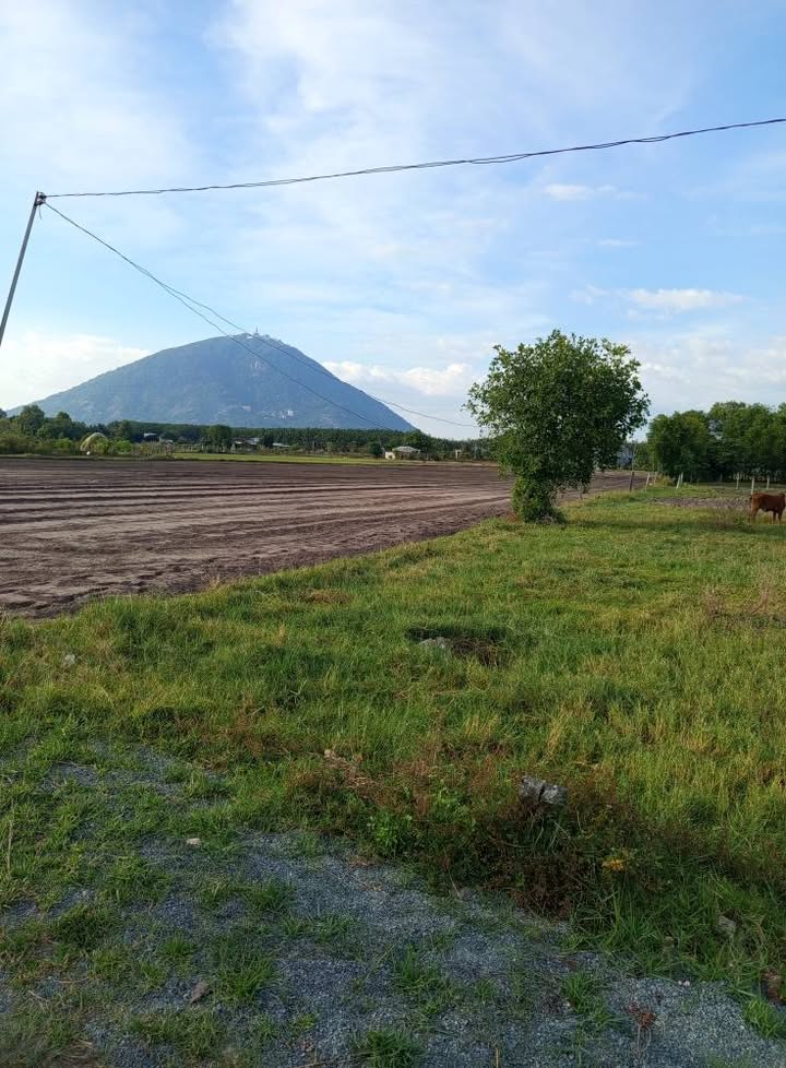 Đất nền xã Phan - Dương Minh Châu 145m² chỉ 275 triệu - Sổ hồng chính chủ!