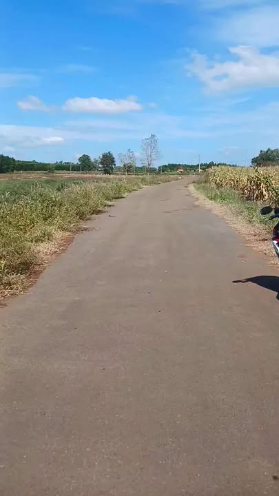 Đất nền xã Bình Giã, huyện Châu Đức, 6400m² giá 2.88 tỷ - Cơ hội đầu tư hấp dẫn!