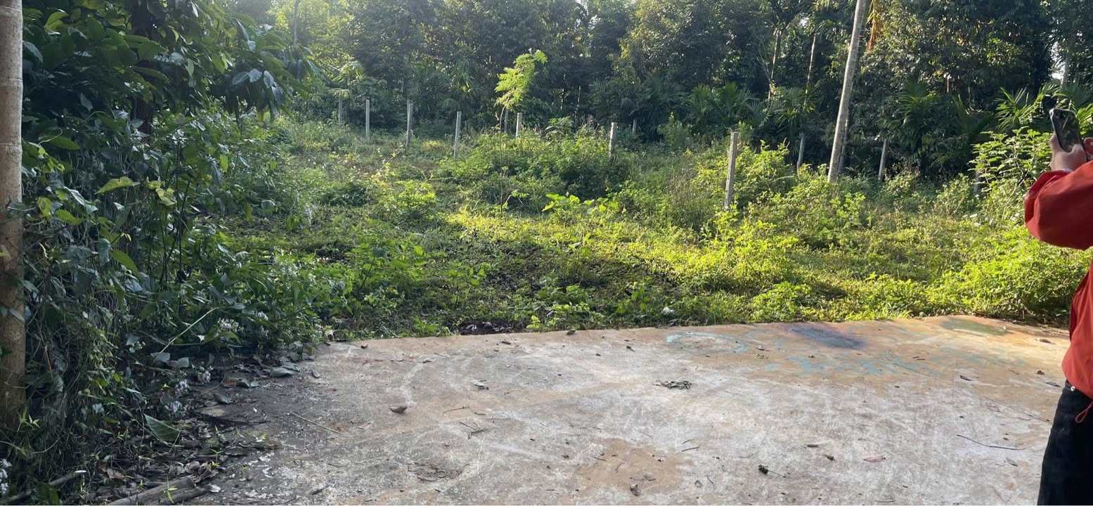 Đất nền Hẻm cấp 1 Nguyễn Xuân Nguyên, Tân An, Củ Chi 100m² chỉ 1.25 tỷ - Cơ hội sở hữu ngay!