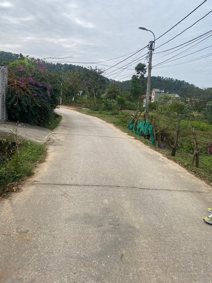 Đất Phù Lãng, Quế Võ, Bắc Ninh 90m² giá 950 triệu - Sổ đỏ chính chủ, đầu tư sinh lời!