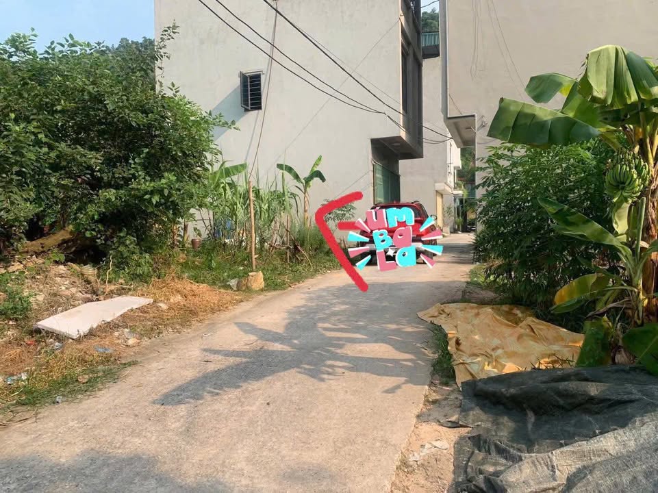 Đất Lãm Trại, Vân Dương, Bắc Ninh 71.5m² - Giá chỉ 2 tỷ!