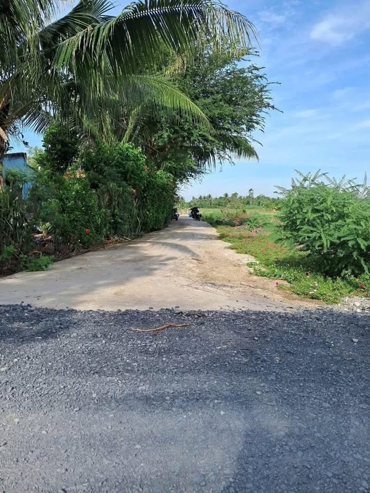 Đất cây lâu năm Gò Công Tiền Giang 1060m² giá 1 tỷ - Thương lượng hợp lý!