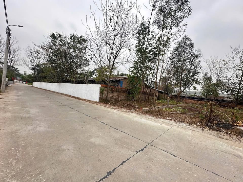 Đất thổ cư Thanh Vân, Tam Dương 85m² giá 1.1 tỷ - Đường xe công tránh nhau!