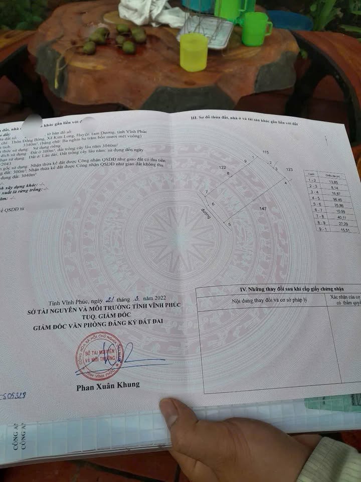 Đất nền Kim Long, Tam Dương 3340m² giá tốt - Cơ hội đầu tư tuyệt vời!