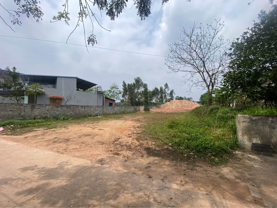 Đất nền phường Tân Lập 131.7m² giá chỉ 1.5 tỷ - Cắt lỗ gấp!