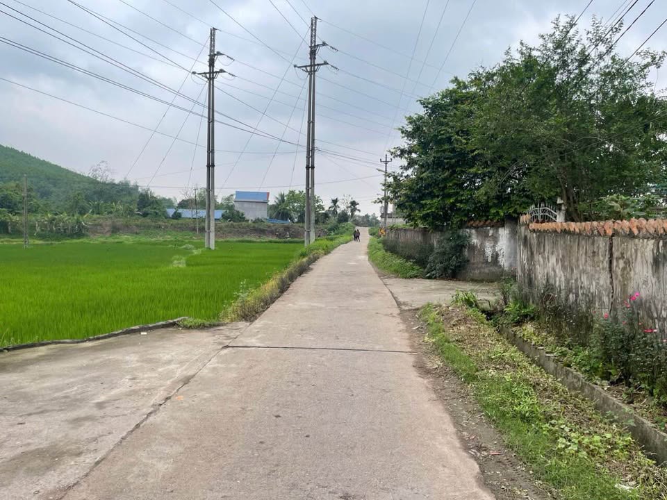 Đất Tân Long Thái Nguyên 120m² giá 600 triệu - Cơ hội đầu tư tuyệt vời!