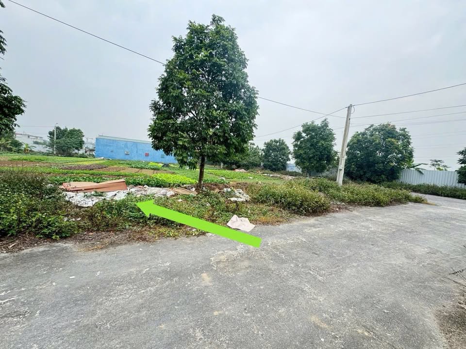 Đất nền Quảng Thành, Thanh Hóa 135m² giá 3.78 tỷ - Cơ hội đầu tư tuyệt vời!