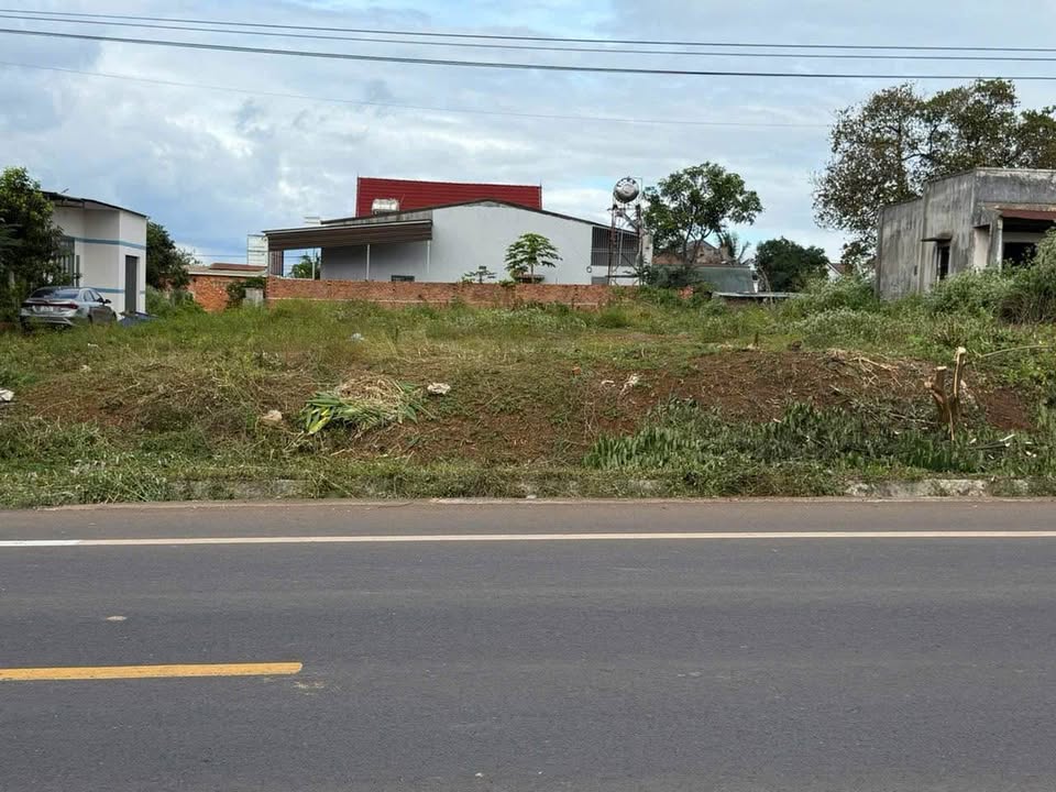 Đất nền mặt tiền Tỉnh lộ 1, xã Ea Nuôl, huyện Buôn Đôn 150m² - Cơ hội đầu tư sinh lời!