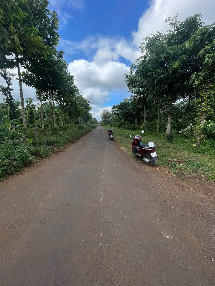 Đất nền Phường Thành Nhất, Buôn Ma Thuột 1000m² giá 1.26 tỷ - Cơ hội đầu tư hấp dẫn!