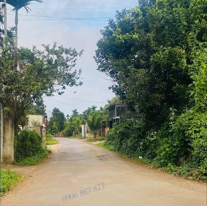 Đất thổ cư Phường Tân Lập 350m² giá 2.7 tỷ - Vị trí đẹp, thuận tiện giao thông!