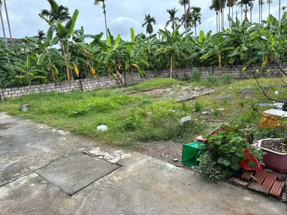 Đất thổ cư Thủy Nguyên 63,8m² chỉ 880 triệu - Cơ hội đầu tư tuyệt vời!