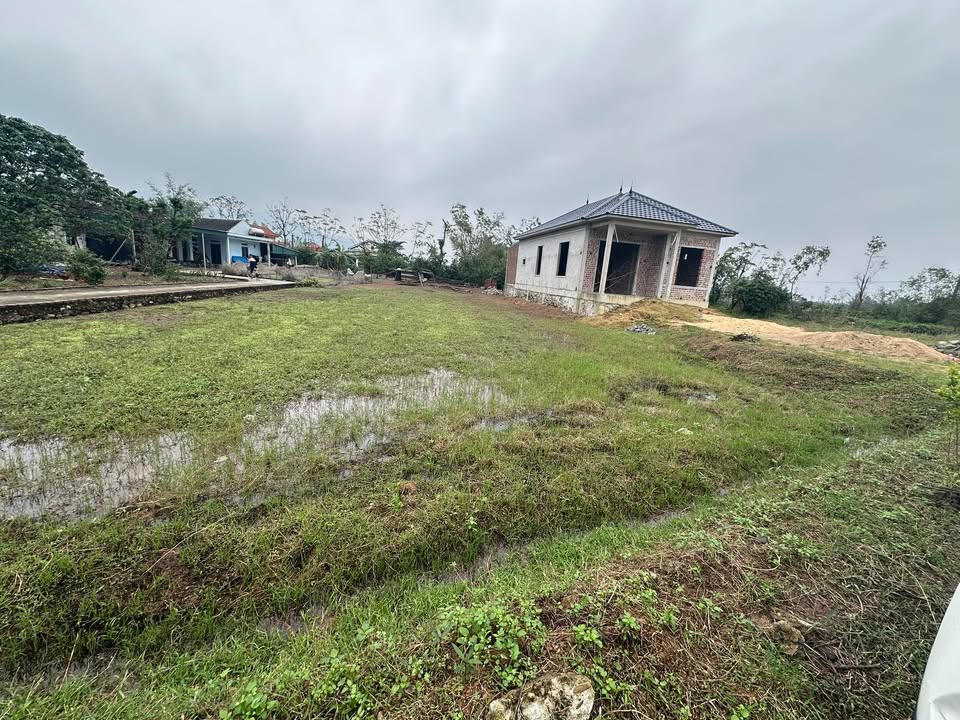 Đất nền Kỳ Thọ 200m² giá chỉ 4xx triệu - Cơ hội đầu tư sinh lời!