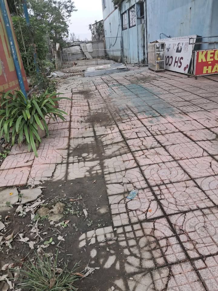 Đất mặt đường Quốc Lộ 1A, Cẩm Vịnh, 112m² giá chỉ 400 triệu - Cơ hội đầu tư tuyệt vời!