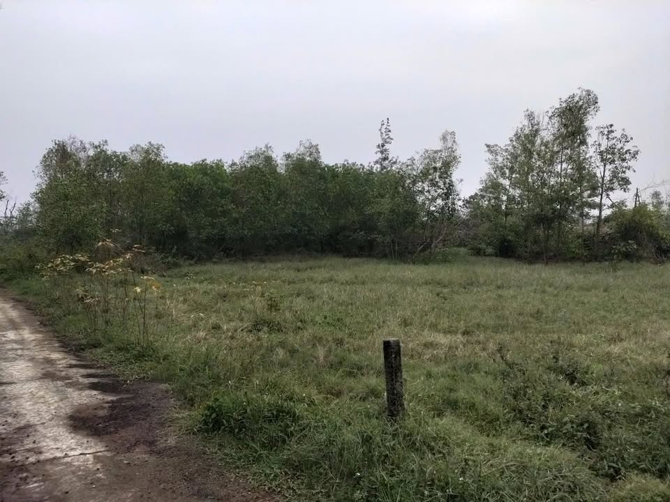 Đất biển Cẩm Dương 265m² giá 520 triệu - Cách biển chỉ 300m!