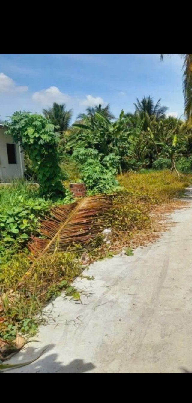 Đất nền phường Trung An, Mỹ Tho 1119m² giá 1.2 tỷ - Thích hợp xây nhà hoặc làm vườn!