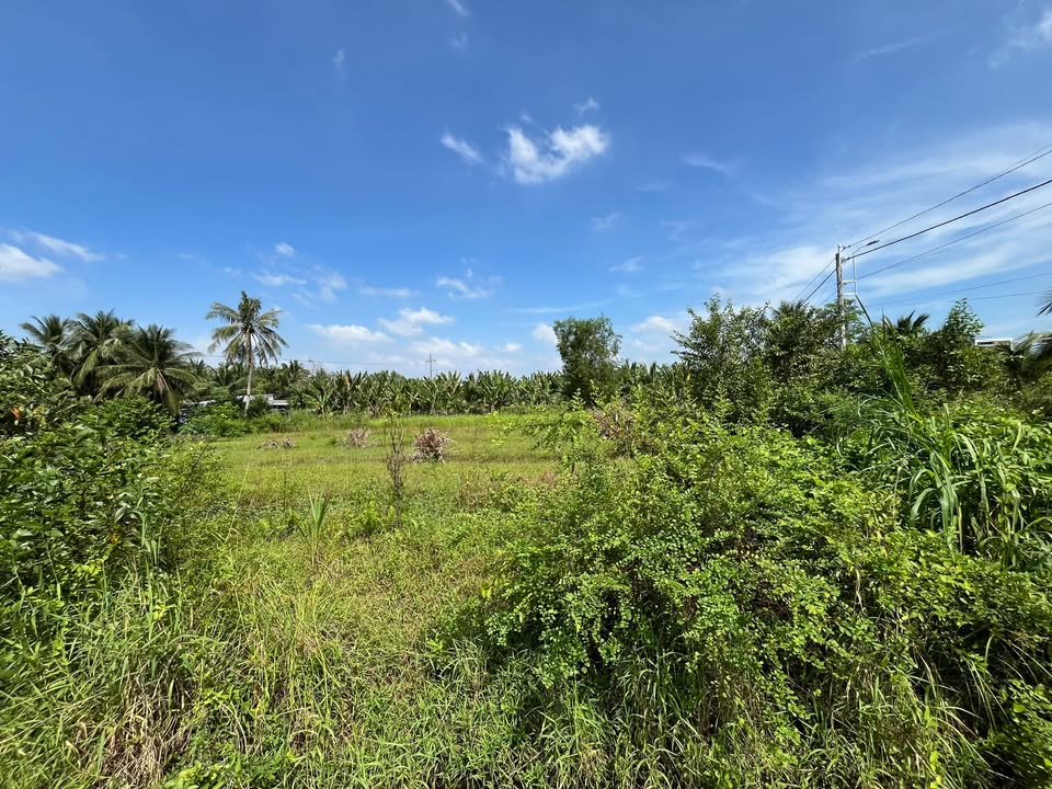 Đất nền biệt thự 460m² tại Phường Trung An, Mỹ Tho - Cơ hội đầu tư tuyệt vời!