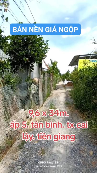 Đất nền 326m² tại Tân Bình, Cai Lậy, chỉ 450 triệu - Cơ hội đầu tư tuyệt vời!