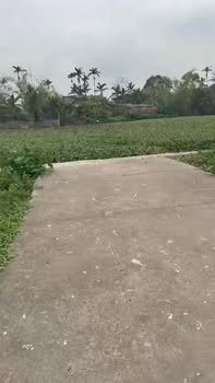 Đất nền Đông Xuyên - Bình Xuyên, 273m² chỉ 200 triệu - Đầu tư sinh lời ngay!