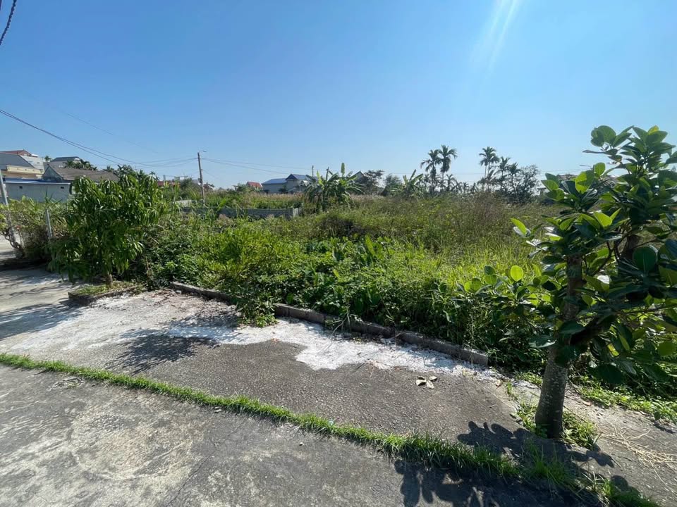 Đất nền phường Nam Đồ Sơn, Hải Phòng 58.8m² giá 800 triệu - Cơ hội đầu tư tuyệt vời!