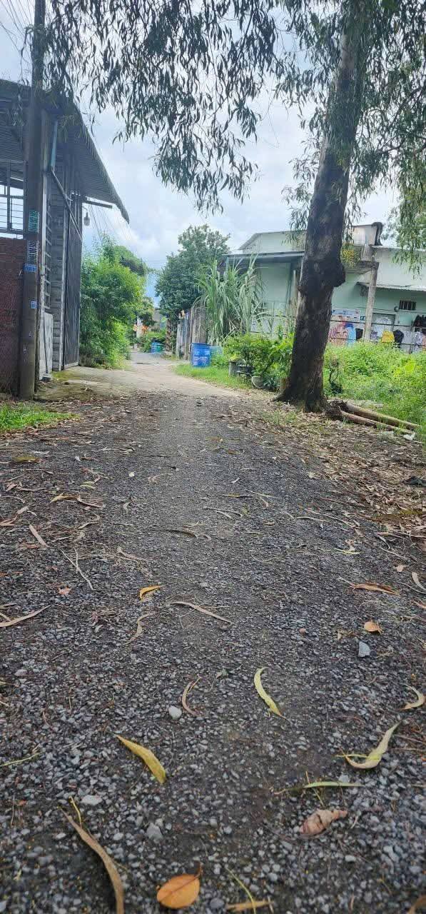 Đất thổ cư 198m² tại Bình Mỹ, Củ Chi - Giá 2.1 tỷ, gần khu công nghiệp!