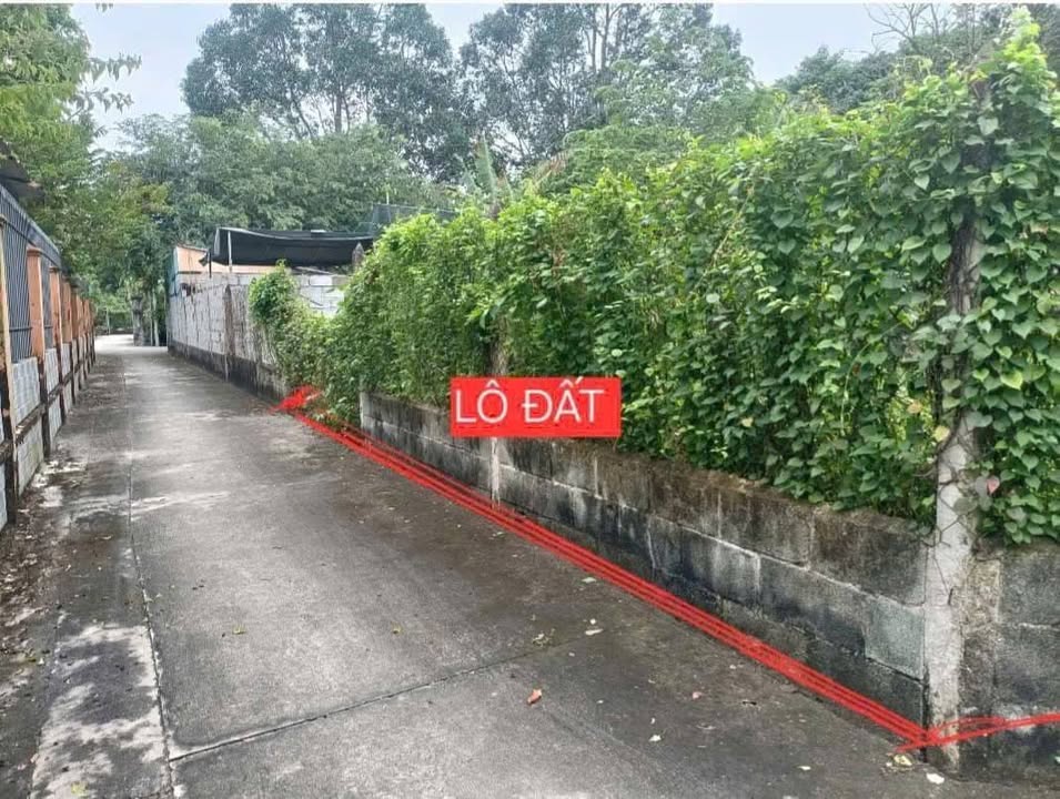 Đất nền khu dân cư Tân Thạnh Tây, Củ Chi 1254m² giá 2.8 tỷ - Sổ đỏ chính chủ