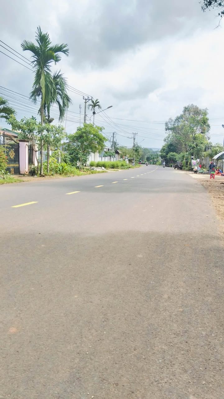 Đất thổ cư mặt tiền Phan Huy Chú, Hòa Xuân 540m² giá 3.599 tỷ - Đầu tư sinh lời ngay!